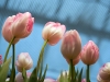 20110204_kl1150w