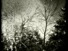 20110213_kl1437_2w