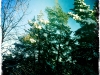 20110213_kl1437_3