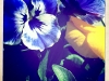 20110419_kl1154w