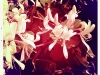 20110605_kl1419w