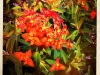 20110605_kl1421_2w