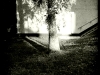 20110609_kl2015w