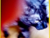20110709_kl1521w
