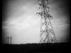 hemkomst_49w
