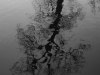 20120301_1328w