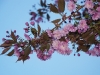 20120515_kl2122_2w