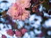 20120515_kl2122w