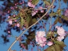 20120515_kl2124w