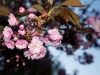 20120515_kl2125w