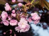 20120515_kl2125w2