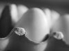 20141002_agg2w