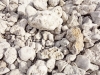 20150914_faro2w