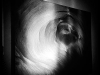 20160117_artipelag2w