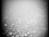 20160117_artipelag5w
