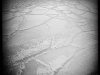 20160117_artipelag6w