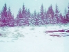 20151227_1w