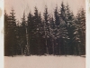 20151227_7w