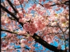 20160502_kl1702w