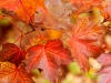 20161006_hostlov2w