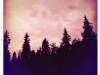 Hipsta20170805_0013w