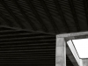 20180201_10xsvartvitt3w