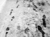 20180201_10xsvartvitt5w