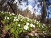 20180426_fisheye9w